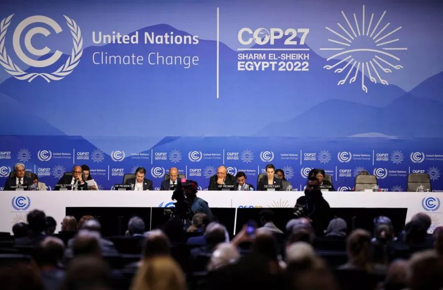 COP27 Yaklaşırken İhtimaller ve İhtiyaçlar