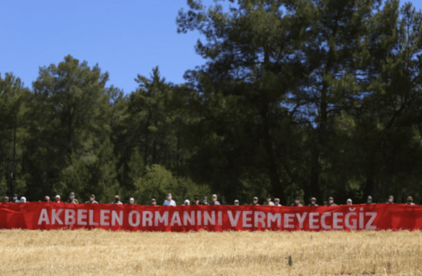 Akbelen’de “Acelenin” Politik Ekonomisi 